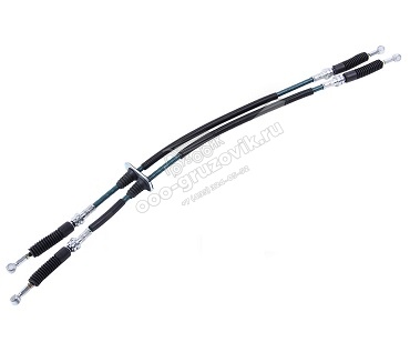    Next .-5344   -5 (PRAVT), : C41RB3.1703016