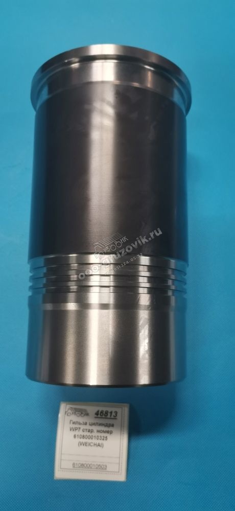   WP7  -5   610800010325 (WEICHAI), : 610800010503