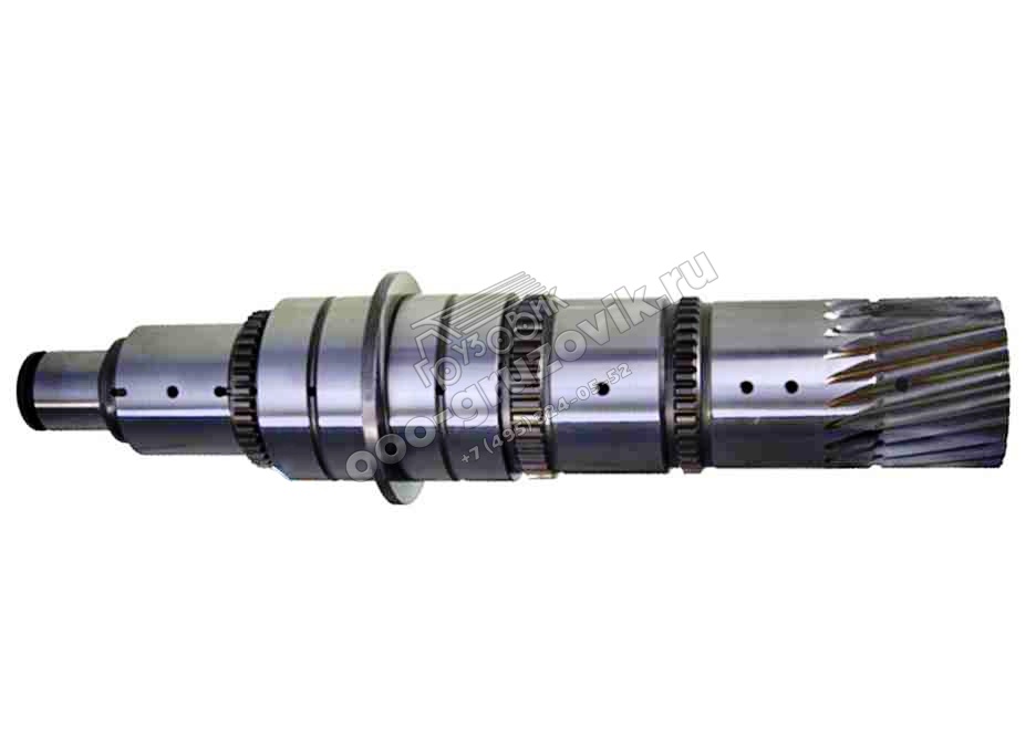    ZF 16S151 95531242, : 1315304131